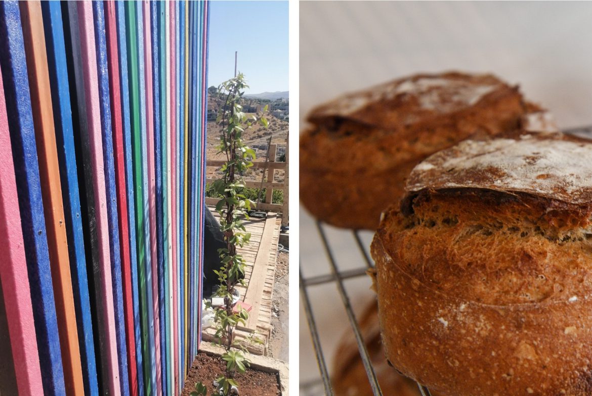 plastic bread (2)