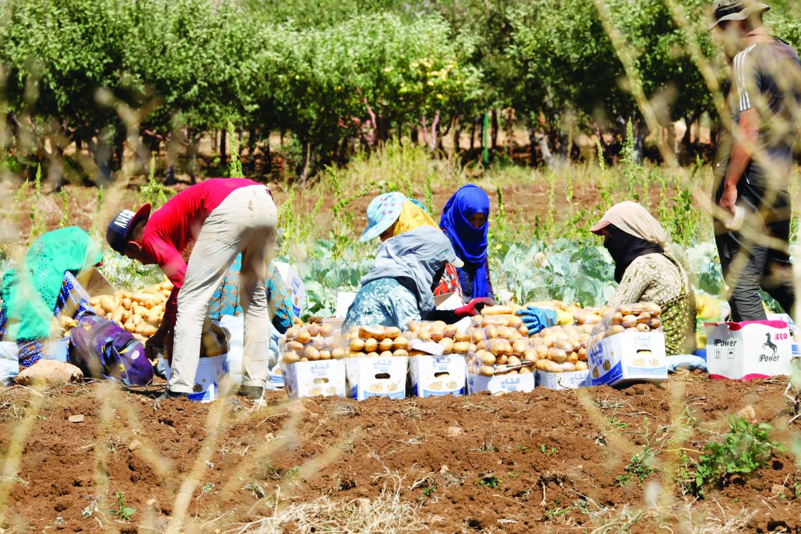 FOOD SECURITY_Kfarmachki fesitval on the 18-09-2022 (27)