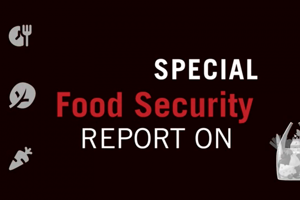 Special Food Security Report