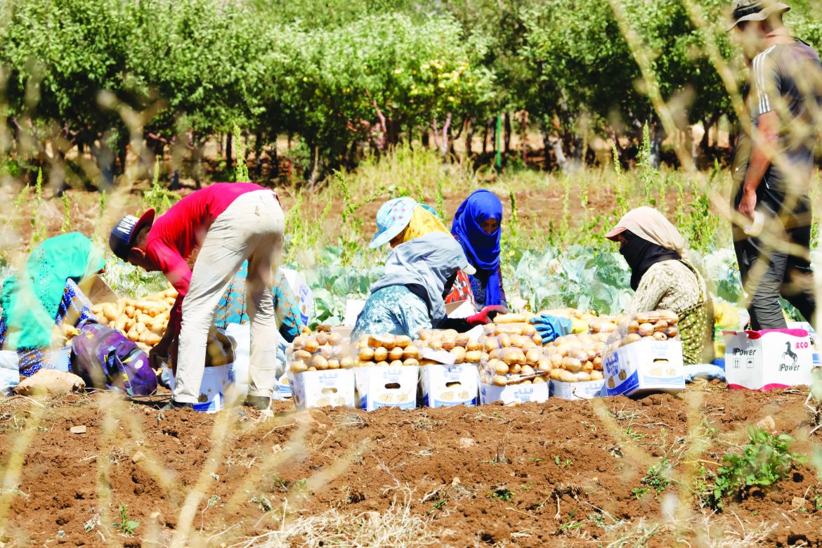 FOOD SECURITY_Kfarmachki fesitval on the 18-09-2022 (27)